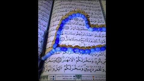 سورة الغاشية - الشيخ أبوبكر الشاطري