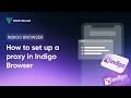 How to set up a proxy in Indigo Browser