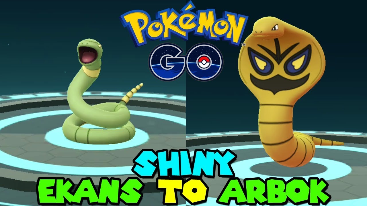 Shiny arbok