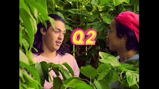 Q-2