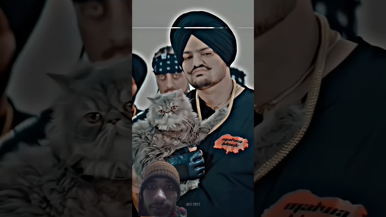 The last ride sidhu moose wala vairl song 