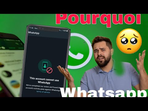 1. Vérification d'identité et des documents (KYC)