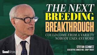 The Next Breeding Breakthrough Could Come From a Variety Nobody Uses Anymore