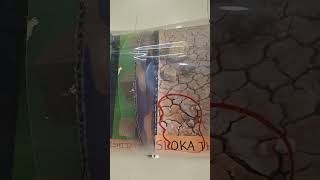 Ozone Layer Depletion - School Project -