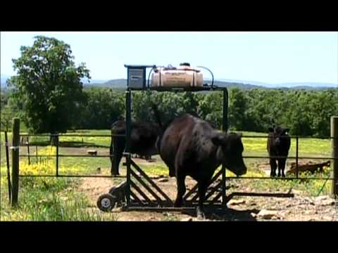 The 3-D Quik HandTM (patented) Cattle Sprayer