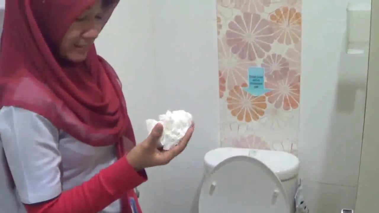 Cara Menggunakan Toilet Duduk