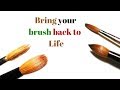 How to reshape your acrylic brush like it's brand new!