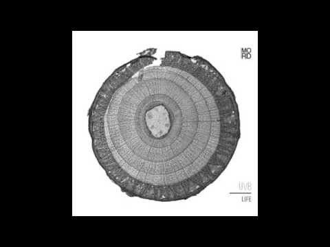 UVB (2) — UVB - Introspection [MORDLP001]