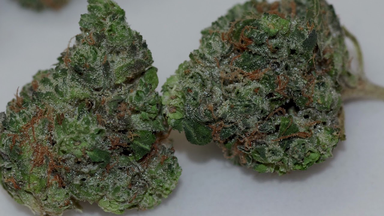 Grassroots Lemon Royale Review