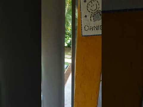 cortinas de rolo em lona nightday Sistema de manivela para abertura.#cortinas #toldos
