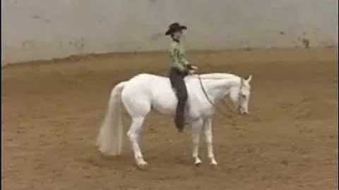 Jennie at Worlds Bareback Horsemanship