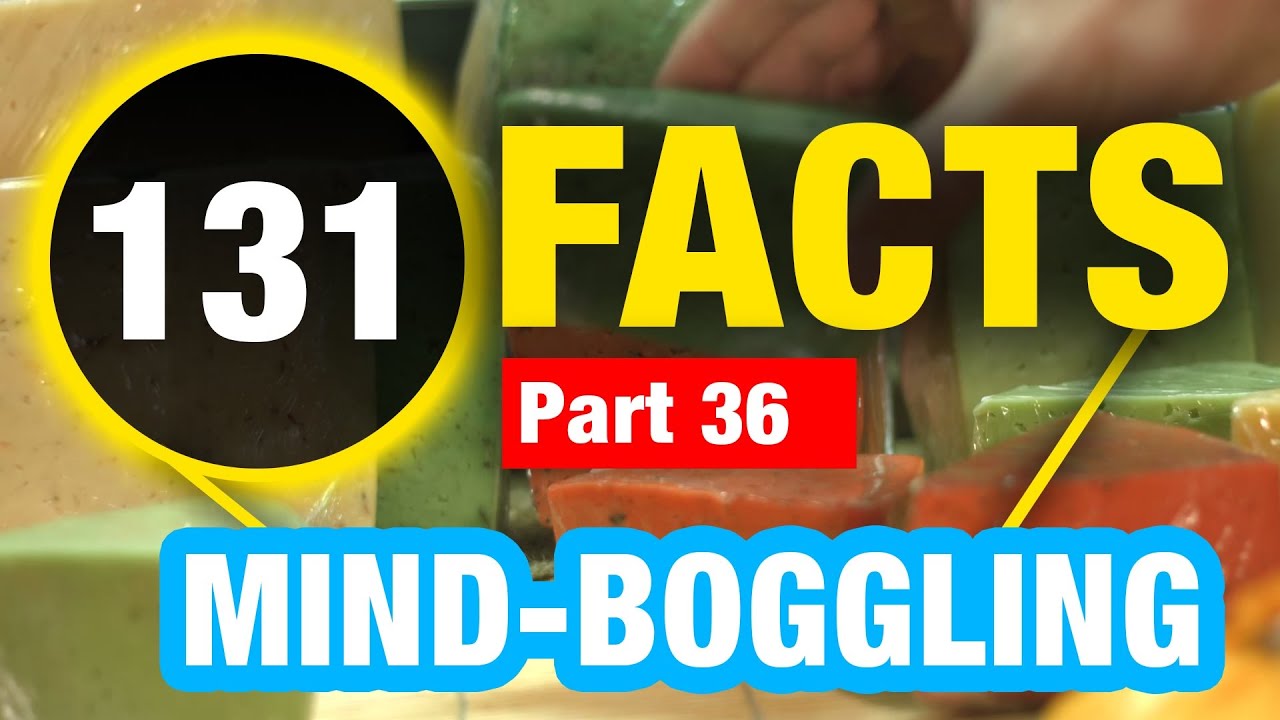 131 Amazing Random Facts | Amazing Facts You Didn’t Know - YouTube