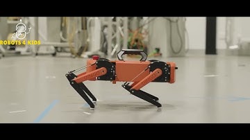 Amazing - The Dingo | A Low Cost, Open-Source Robot Quadruped