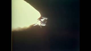 STS-7 | Challenger | Original Footage