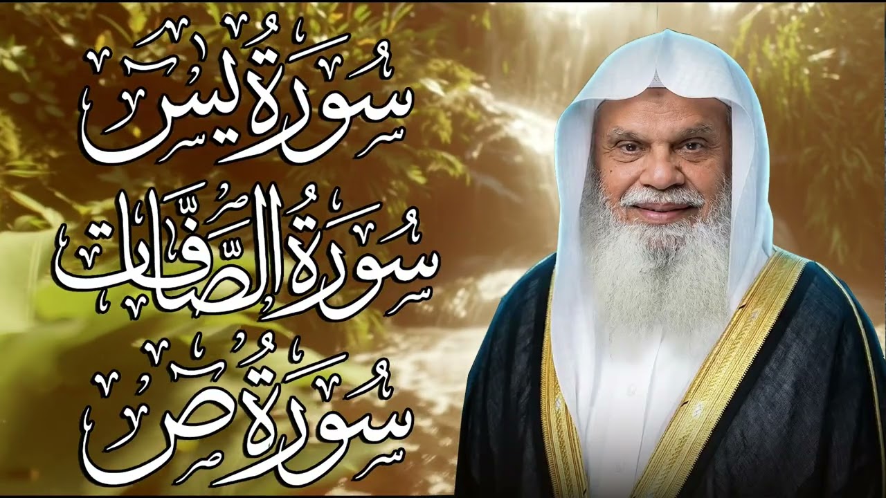 يس، الصافات، ص | تلاوة خاشعة مع الشيخ علي الحذيفي | نور للقلب وراحة للنفس
