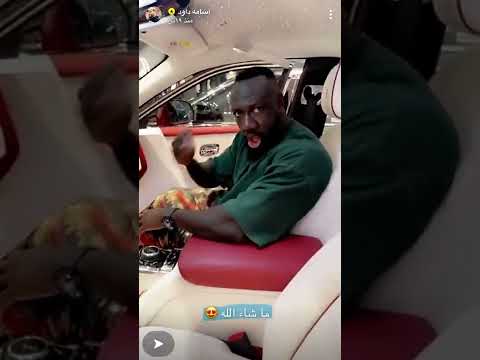 كحلي يابغى يشتري سياره وغاليه معنده فلوس اسامه داود