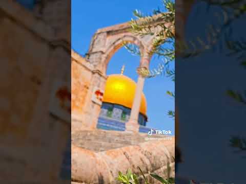 هي جنة طابت وطاب نعيمها و نعيمها باق وليس بفان