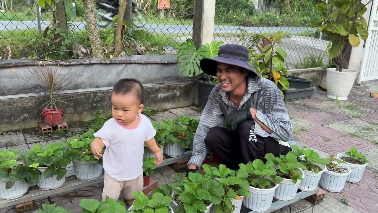 Buổi Chiều Của Panda Và Khu Vườn Của Cha