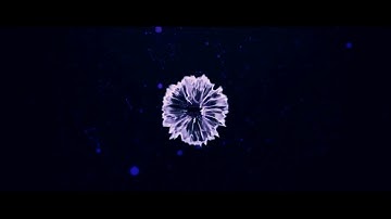 A melhor intro que eu ja fiz