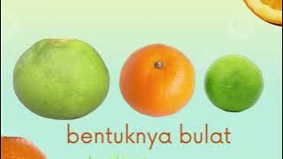Lagu Buah Jeruk