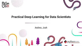Image from Practical Deep Learning for Data Scientists