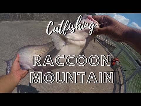Catfishing the Tennessee River on Raccoon Mountain. 
