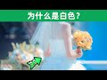 婚纱为什么大多数都是白色的？