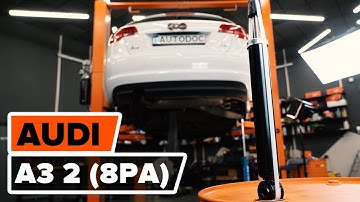 How to change rear shock absorber on AUDI A3 2 (8PA)  [TUTORIAL AUTODOC]