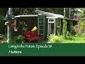 Carbeth Hutters : Living in the Future (Ecovillages) 38