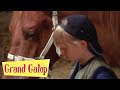 Grand Galop - Sauvetage | episode Complet | Saison 1 | Episode 2