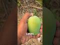 #Short #Amazing #Facts #Unknown F #FactTechz: #Interesting Facts #DailyFacts #ScienceFacts