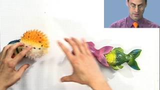 Celebrity Thinkwell's College Algebra: Permutations Net Worth