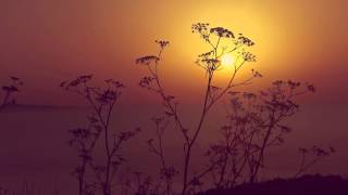 Hazem Beltagui ● Staring At The Sun {FULL HD}