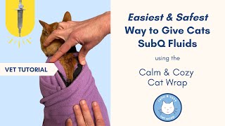 Vet Demonstrates Easiest and Safest Way to Give Cats SubQ Fluids Using The Calm & Cozy Cat Wrap