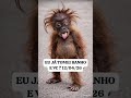 12 de abril de 2026