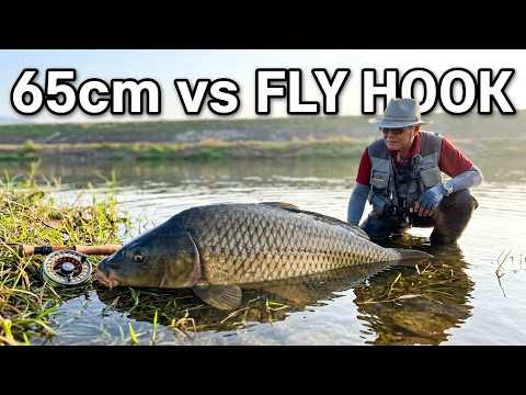 Carp Caught with Copper John and Egg Fly - 2026 Fly Fishing EP13 (Carp On The Fly)