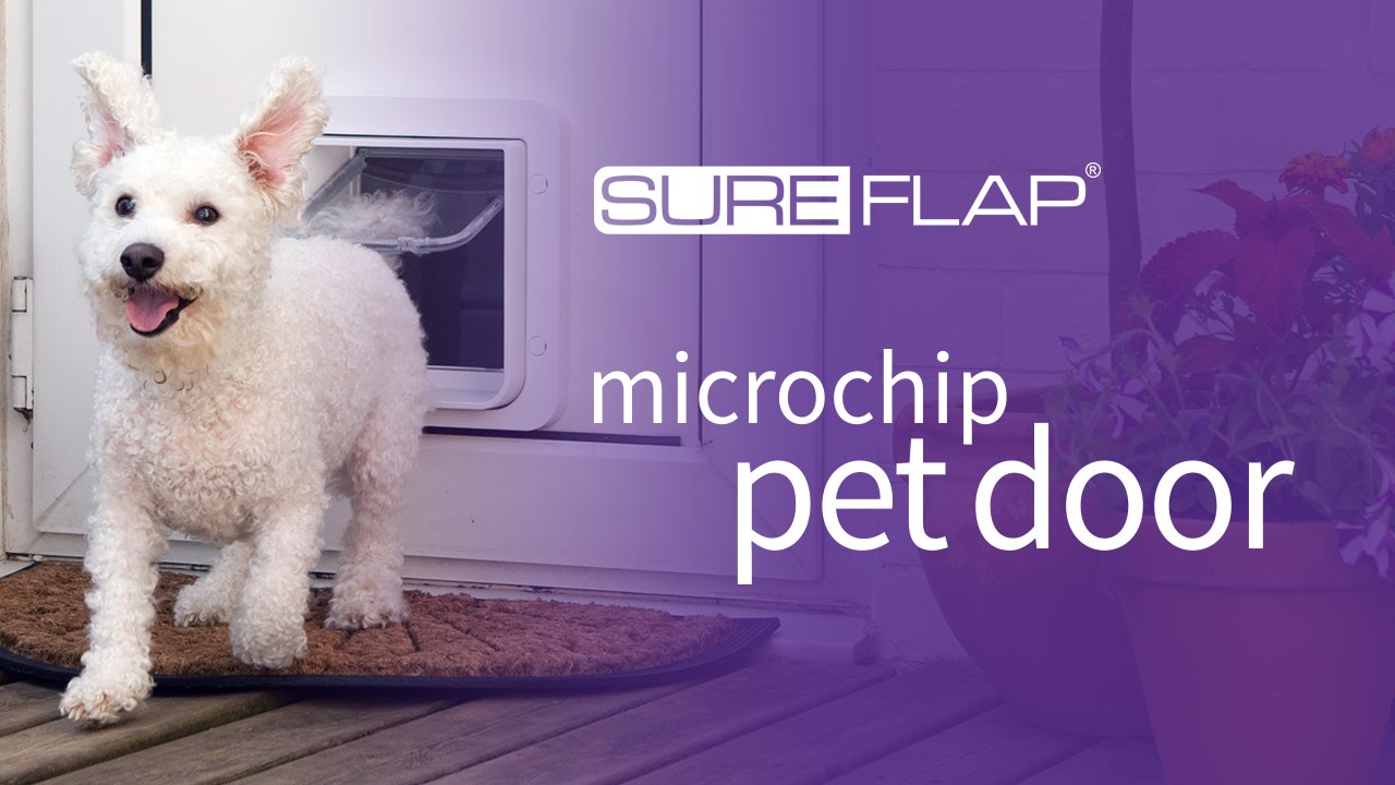 sureflap chip
