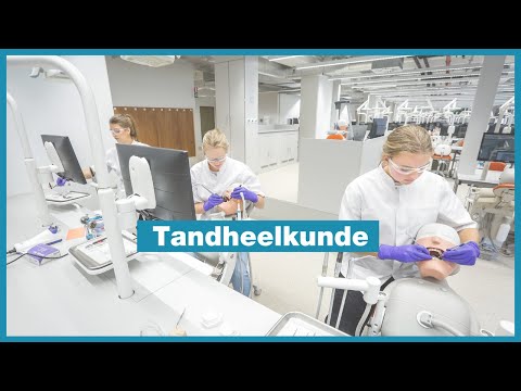 Bachelor in de tandheelkunde | Leuven | KU Leuven