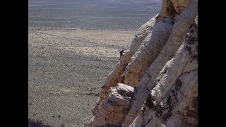 Heuristic Traps: Commitment Bias