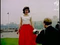 Daddy Lindberg (The Fingers) - Shirl (1967)