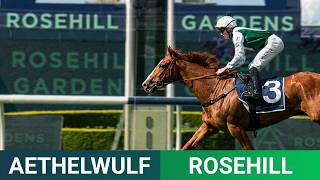 AETHELWULF WINS AT ROSEHILL