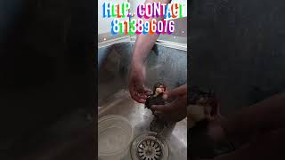 ANYBODY HELP 🙏🏼🙏🏼🙏🏼സഹായിക്കു BIRD RESCUERS 🙏🏼🙏🏼 #birds  # BIRDRESCUE