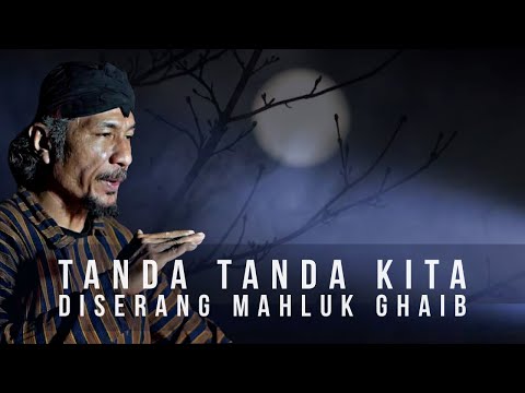 Video: Instruksi interaksi UFO untuk pemadam kebakaran