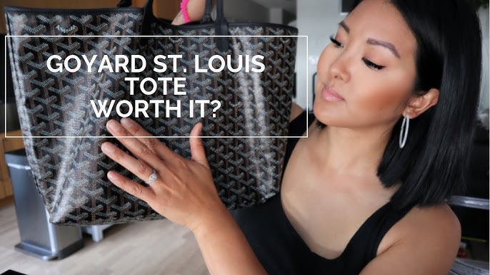 Goyard Saint Louis PM Vs. GM Review and Comparison with Pros and