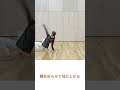 【ダンステクニック】マカコ #コンテンポラリーダンス