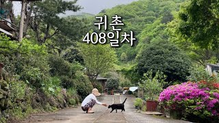 왠지 올해 텃밭은 조금 성공할 것 같은 느낌적인 느낌의 시골일상