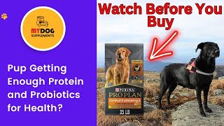 Purina Pro Plan High Protein Dog Food: Shredded Blend Chicken & Rice Formula Review! #dog #petfood