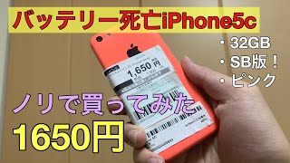 【バッテリー死亡】なかなかにジャンクなiPhone5cを1650円で売ってたのでノリで買ってみた(？)