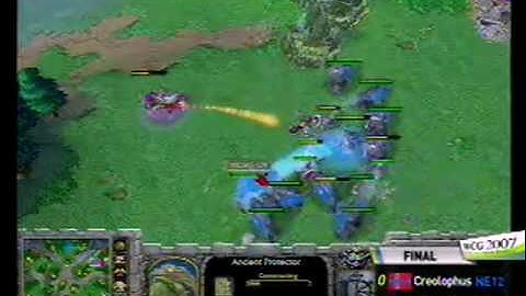 2007 Grand Final Fourth day: War Craft match: SkY vs 4K-Creoloph_02