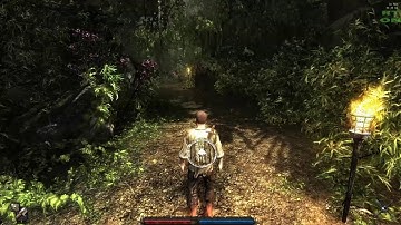 Risen Raytracing (Marty Mcfly